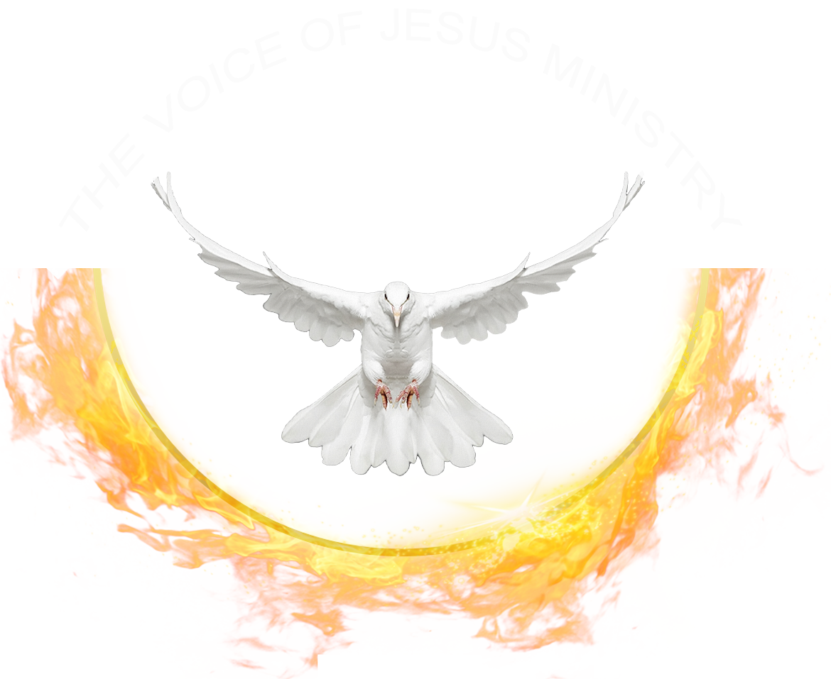 The Voice Of Jesus Ministry